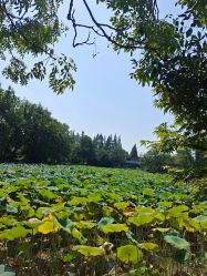 -玄武湖景区-情侣园游乐场