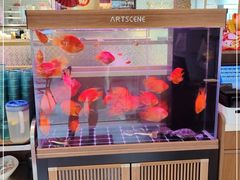 -龙记·香港茶餐厅(海上世界店)