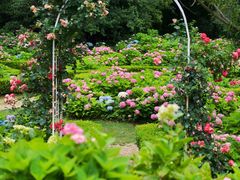 -上海共青森林公园