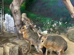 -正佳雨林生态植物园