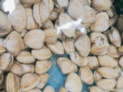 -鑫渔港海鲜本地菜·山海关浑锅(东戴河店)