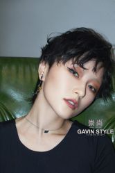 -崇尚GAVIN STYLE臻选