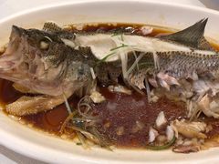 -永乐饭庄(安德路店)