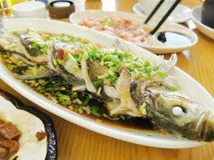 -宾湖农庄·农场特色(太湖龙之梦店)