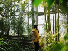 -国家植物园南园