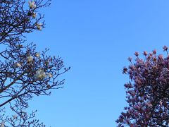 -幕燕滨江·燕子矶公园