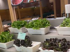 -九孔·筒骨莲藕汤锅(大明宫万达店)