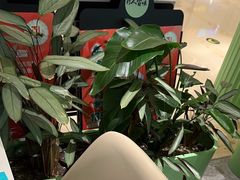 -川人百味(金安中央大街店)