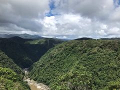 -热带雨林自然公园