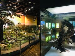 -陕西自然博物馆