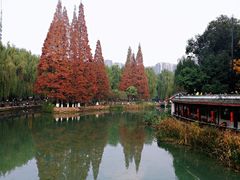 -温江公园