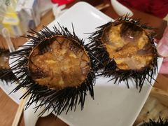 -海胆小馆(东北水饺·春柳店)