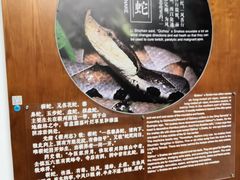 -李时珍纪念馆