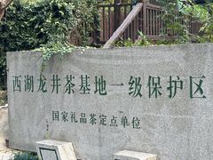 -龙井村