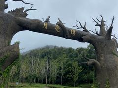 -梅岭月亮湾山体公园