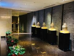 -成都保利公园皇冠假日酒店(熊猫基地店)