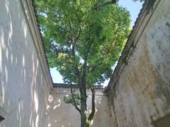 -乌镇东栅景区
