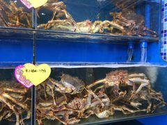 -蚝专家(北滘店)