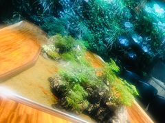 -森味薪火烧•烧鸟居酒屋•日本料理(望京店)