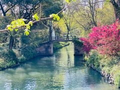 -西溪国家湿地公园