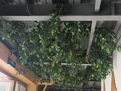 -金塔傣乡·云南民族特色菜·傣味手抓饭(金瓦路店)