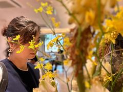 -HUATA 'Holiday Plan 花榻
