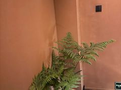 -泰·菩提树下[泰式按摩x精油SPAx肩颈头疗](新景店)
