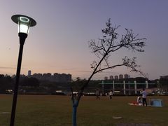 -东莞植物园