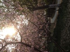 -汤山公园