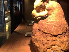 -高雄85大楼-观景台