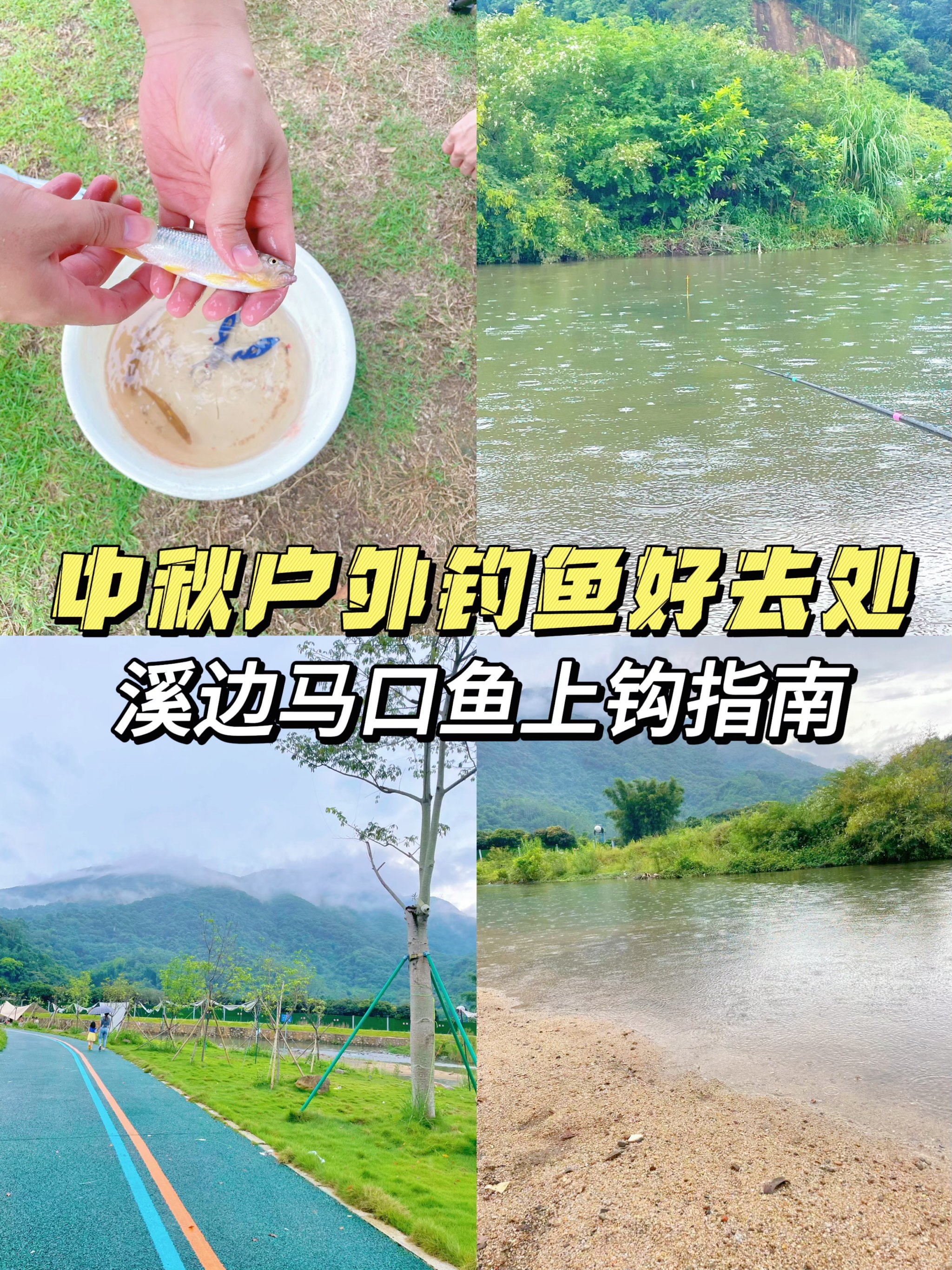 鱼上钩了但马没了图片