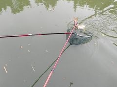 -茂德公草堂