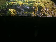 -英皇电影城(英皇集团中心IMAX店)