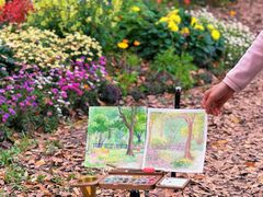 -上海共青森林公园