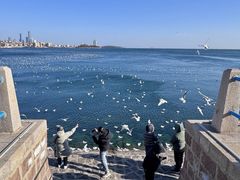 -甄御•海鲜新青岛菜(麦岛店)
