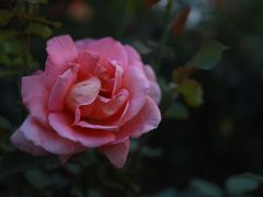 -人民公园(罗湖区)