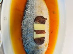 -苏浙汇(肇嘉浜路总店)