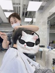 -5M HAIR SALON 旗舰店