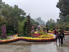 -南山植物园