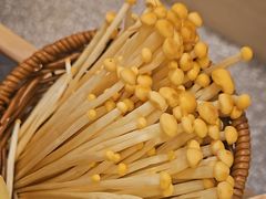 -季季山·云南野生菌火锅(上海首店)