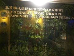 -中国地质大学逸夫博物馆