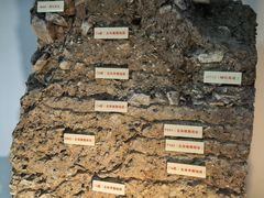 -南越王博物院(王宫展区)