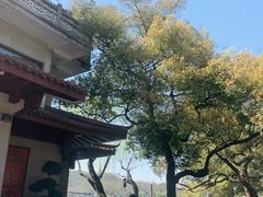 -湖畔居茶楼(湖滨店)