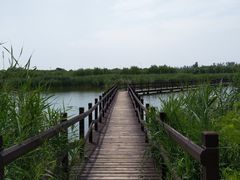 -西青郊野公园