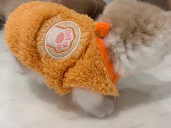 -袖虎·猫馆(体育西路店)