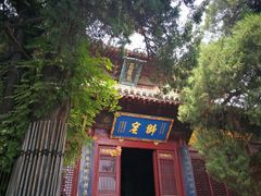 -洛阳白马寺