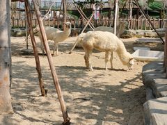-广州融创文旅城