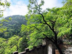 -北京鹫峰国家森林公园