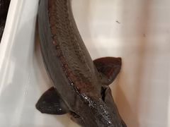 -王老六铁锅炖鱼(华阳路店)