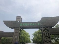 -溱湖国家湿地公园